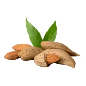 Almonds